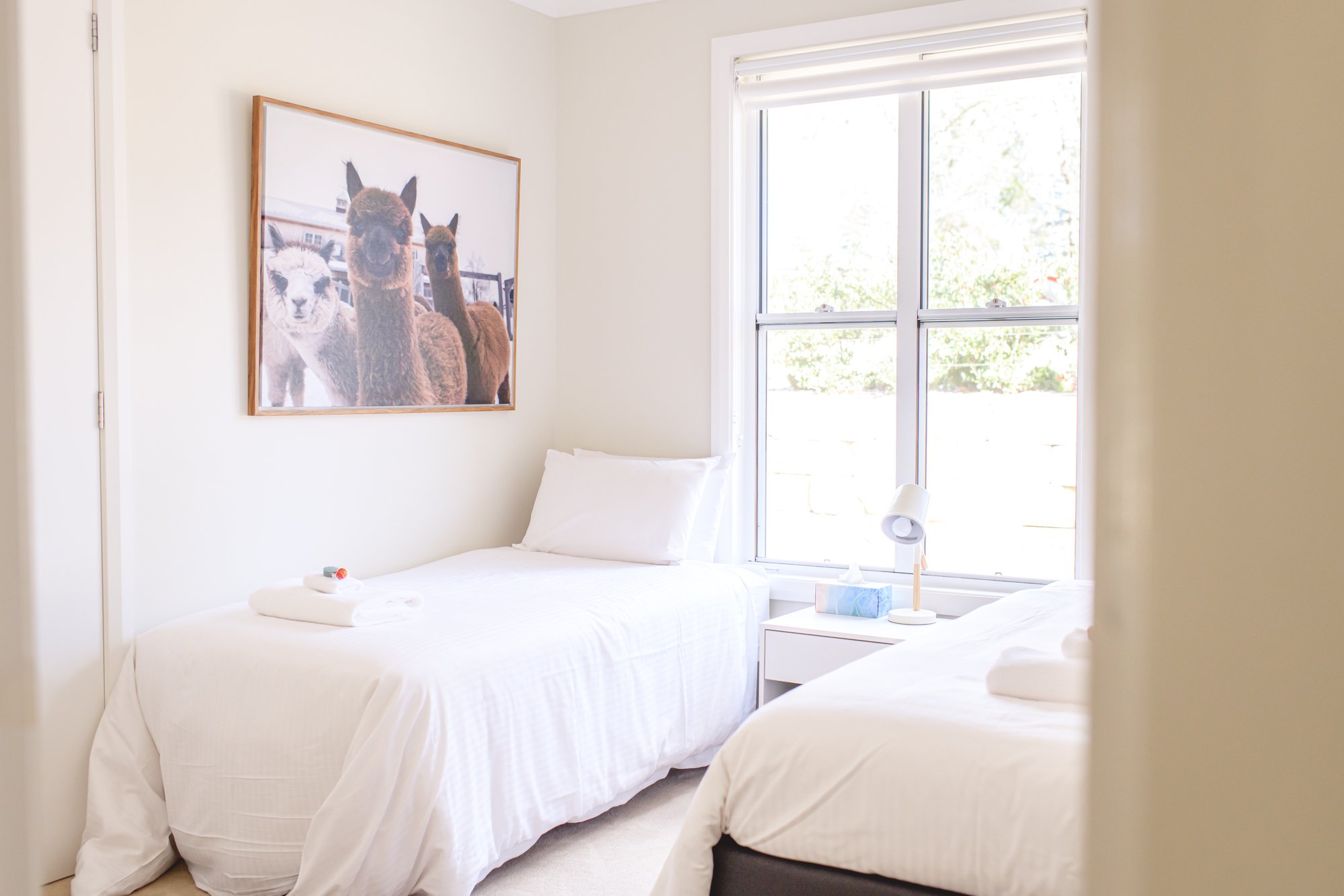 Alpaca Twin Room | Group Accommodation Hawkesbury