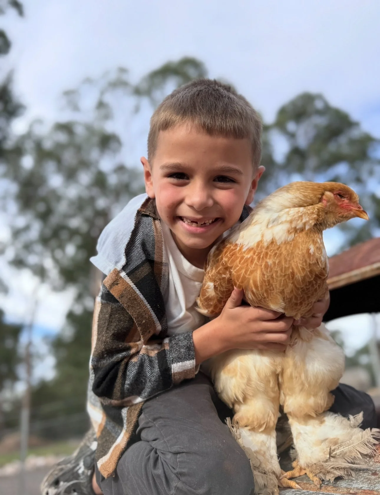 Fresh Eggs and Big Dreams: The Story of 8-Year-Old Farmer Jett