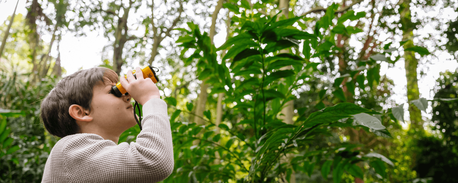 Child exploring wildlife with binoculars at the Blue Mountains Botanic Garden Mount Tomah during the Spring school holidays