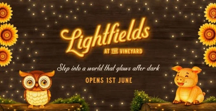 Lightfields at The Vineyard winter lantern festival featuring illuminated animal lanterns and glowing displays near Windsor NSW