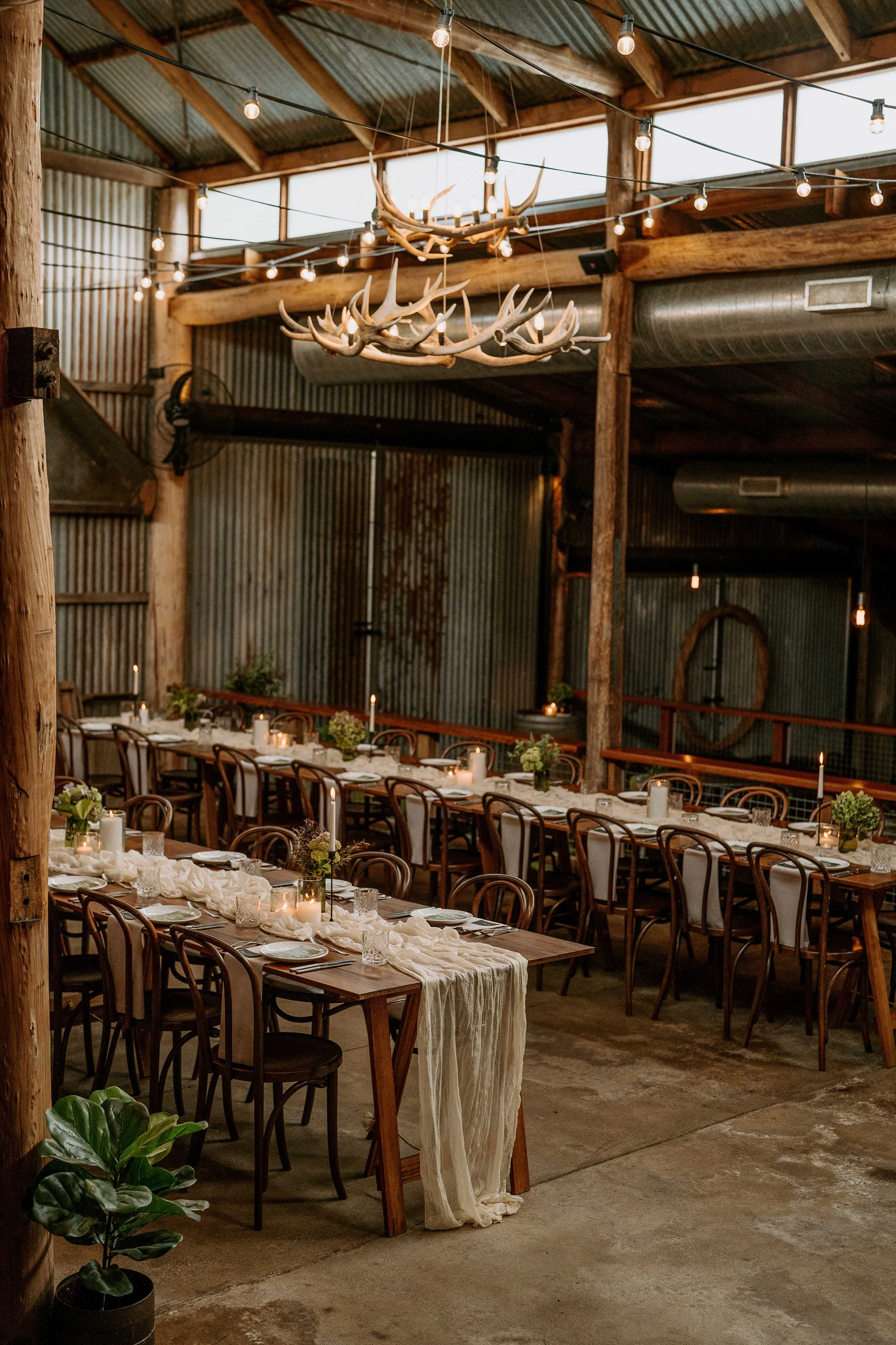 Rustic wedding reception setup at Lilburndale in Sackville, featuring long timber tables, candlelight and hanging antler chandeliers near Dido’s Place in the Hawkesbury