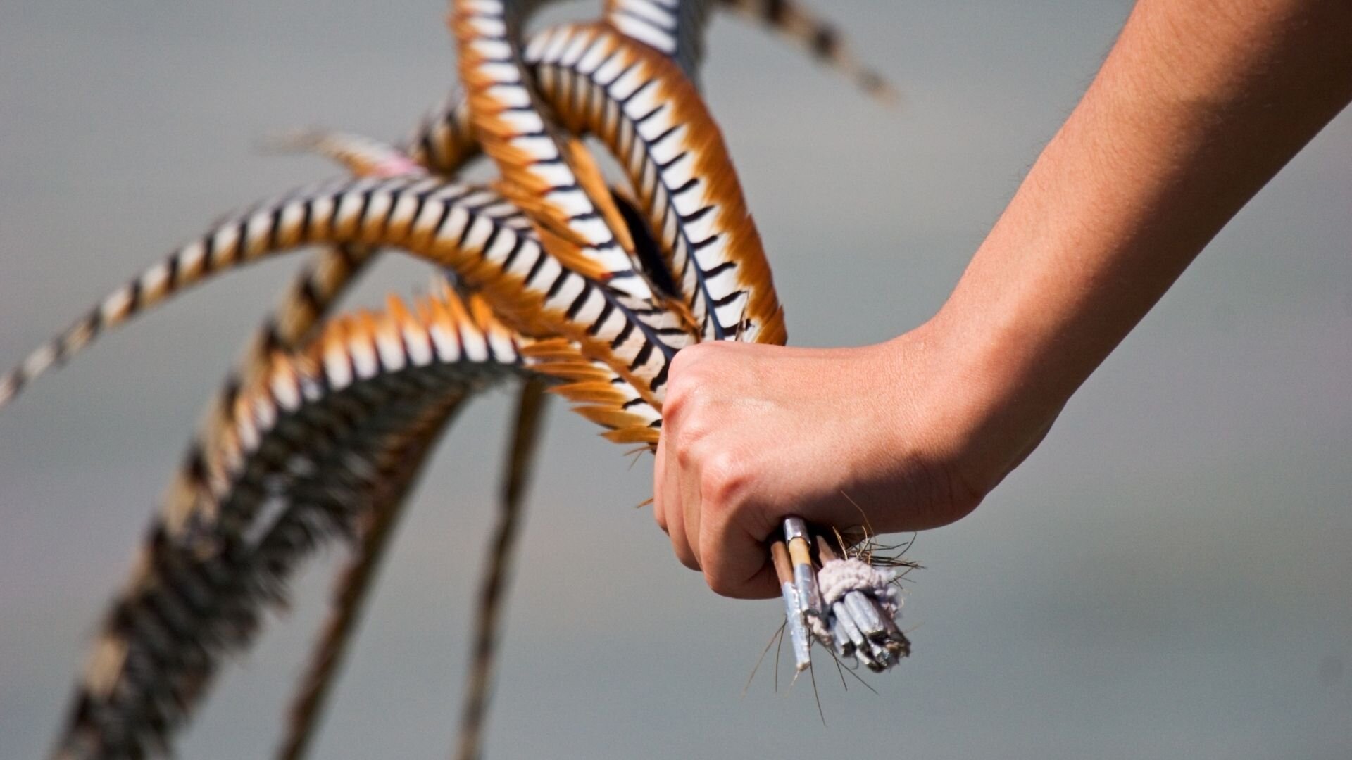 Events Page Photo Final.jpg