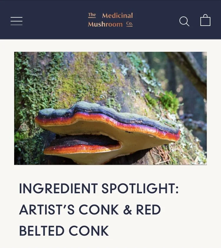 Artist Conk Mushroom