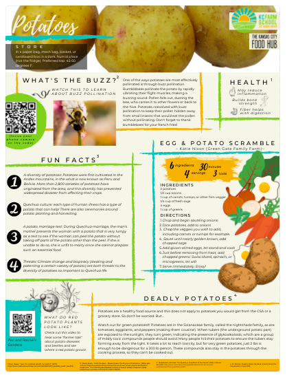 Potatoes/ Papas