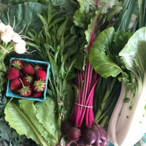 Spring CSA w strawberries.png
