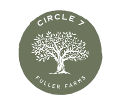 Circle 7 logo.png