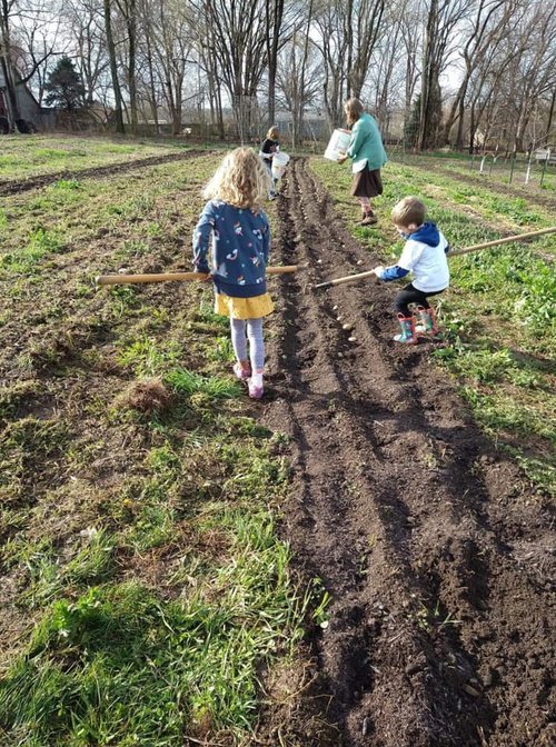 kids+planting+potatoes+w+hoes (1).jpg