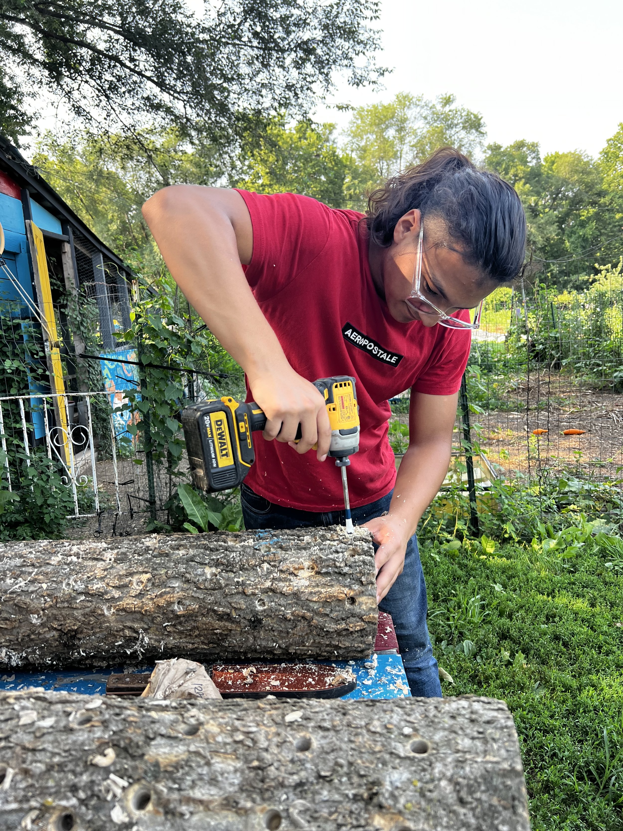 Youth Farm Apprenticeship — KC Farm School at Gibbs Road