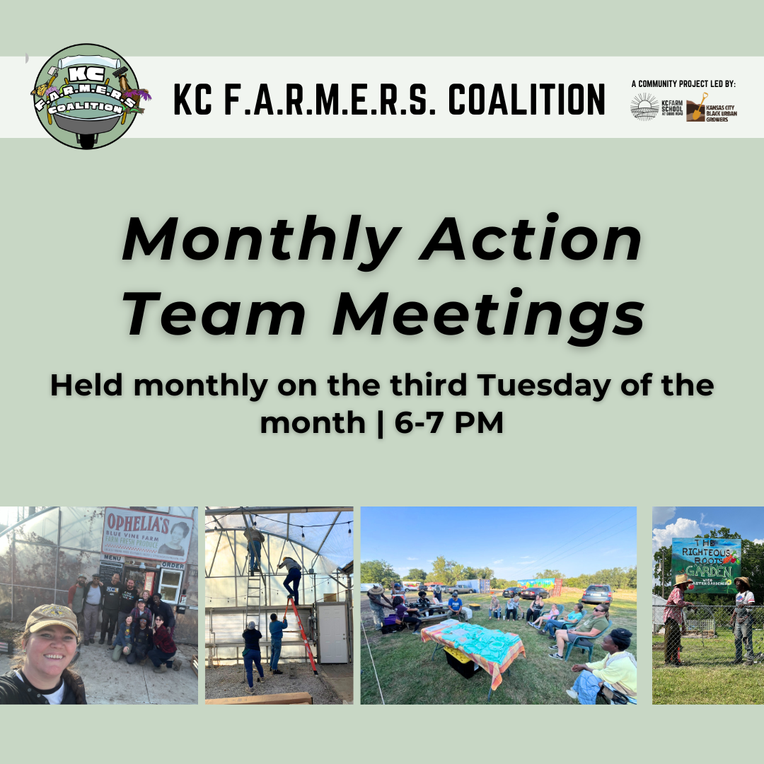 Monthly Action Team Meetings