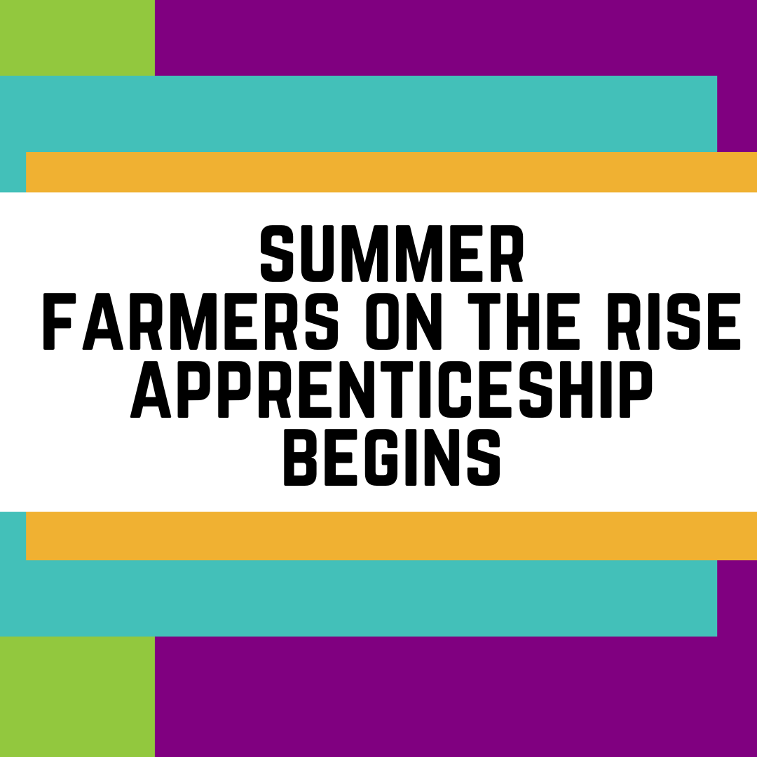 Summer Farmers on the Rise Apprenticeship Begins!