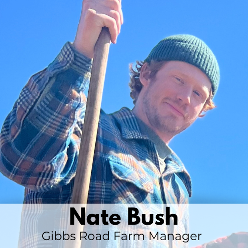 Staff + Board Website Tiles Square (15).png