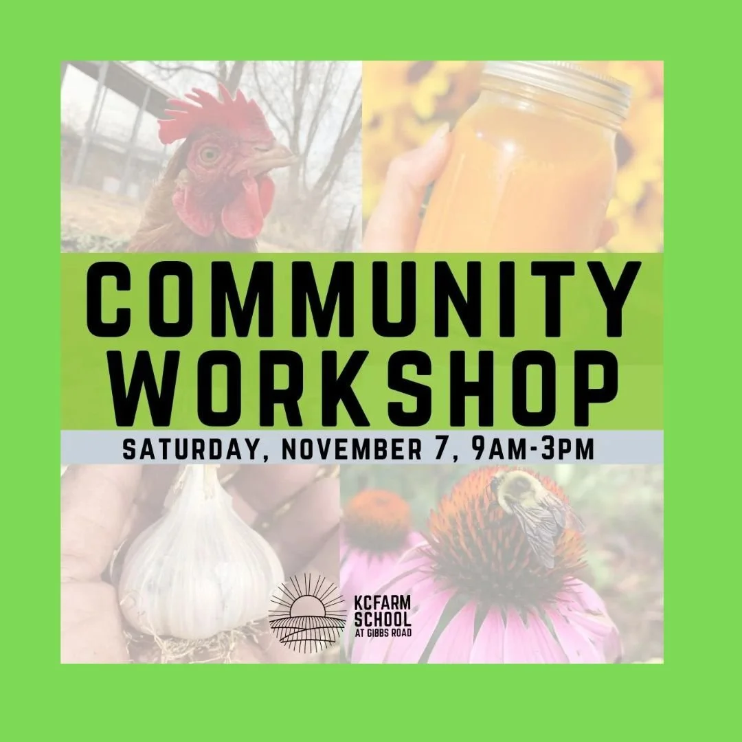 Community Workshop 2026