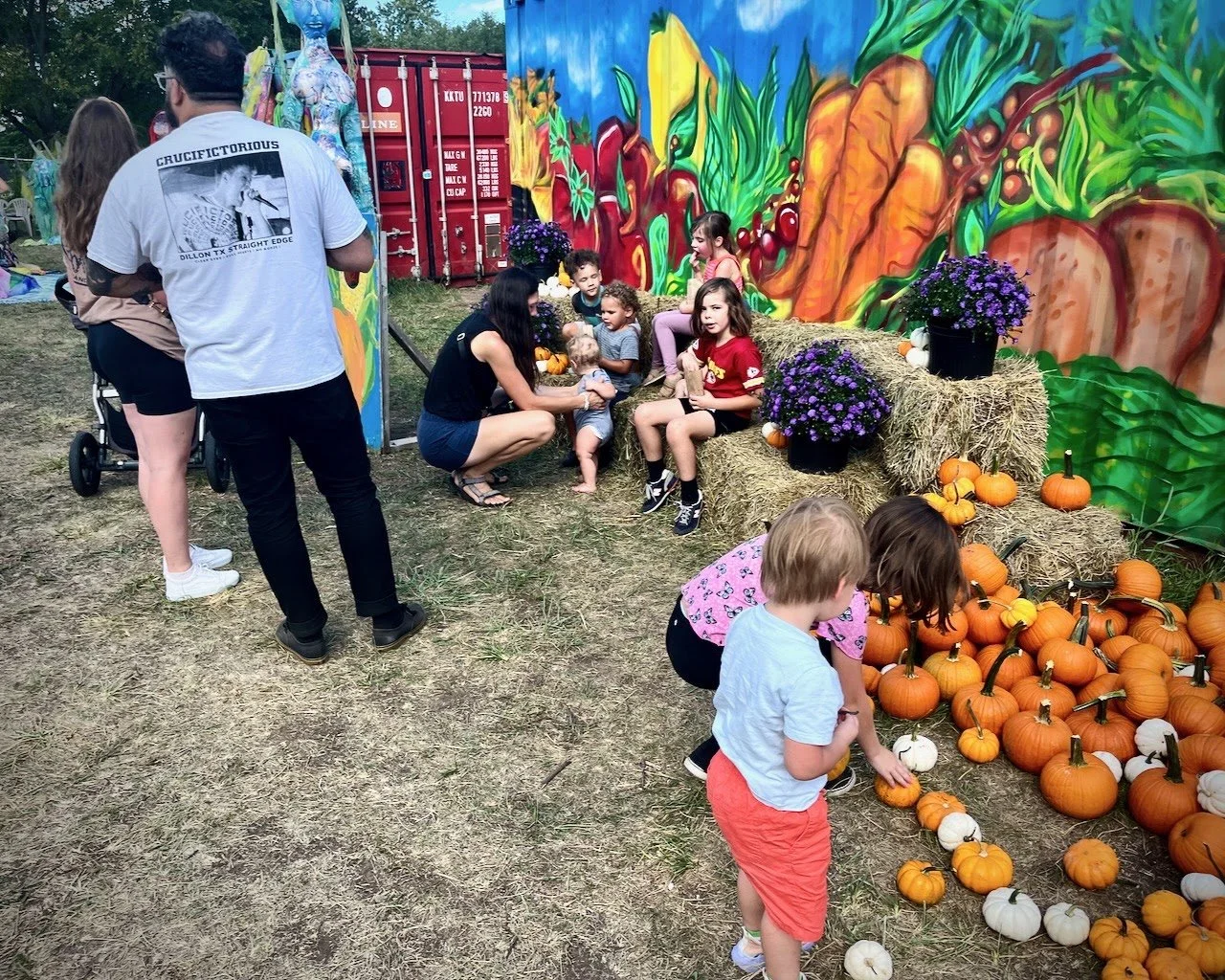 punkins.jpeg