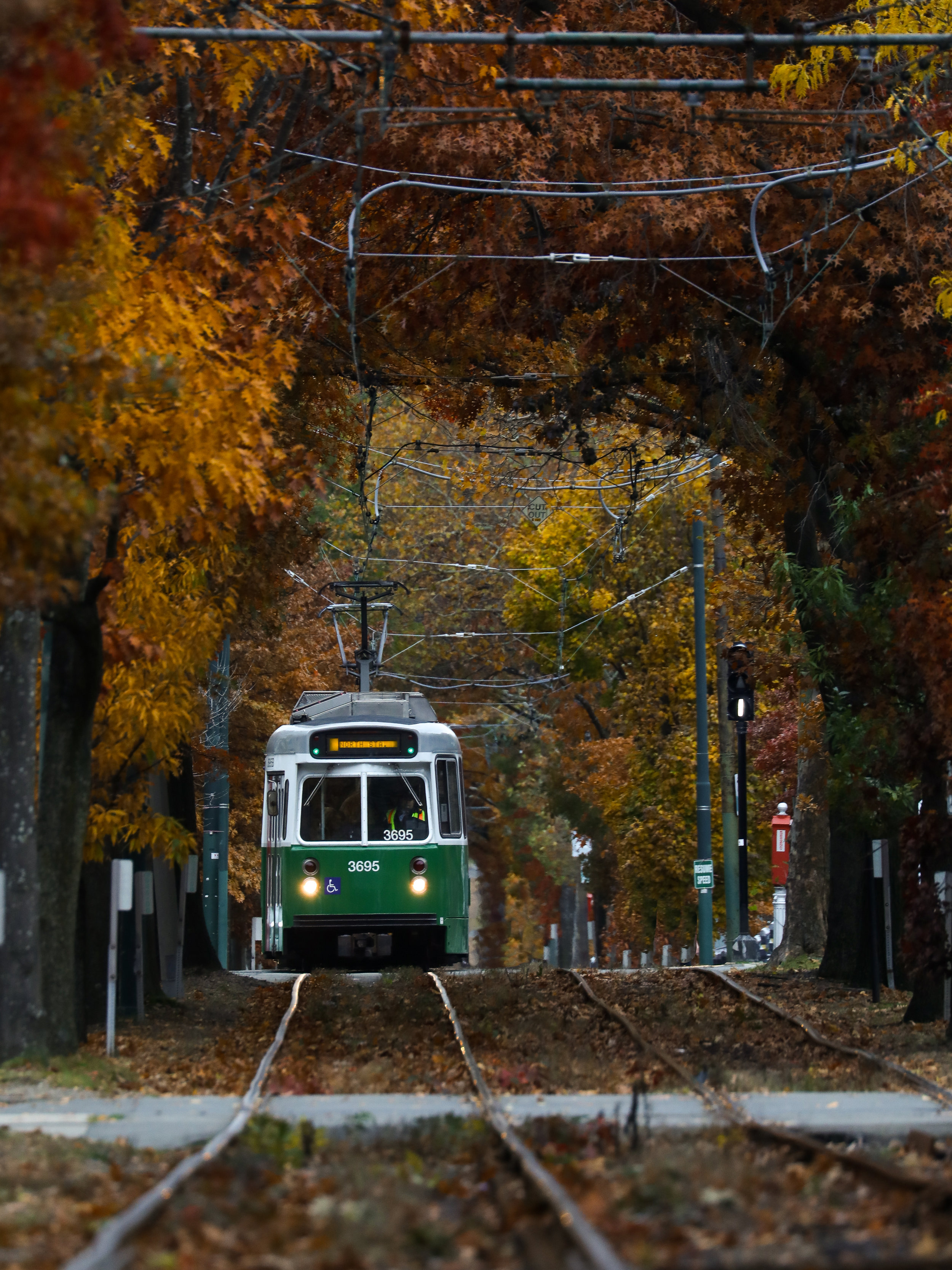 20181108_fallphotowalk_pg_28.jpg