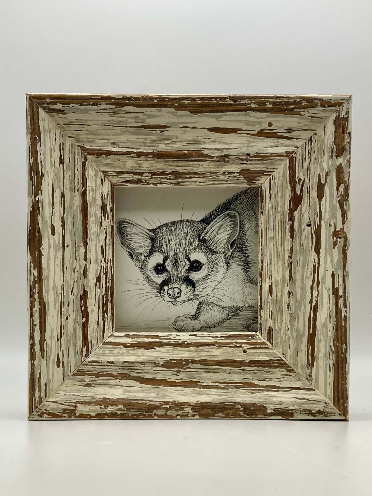 Ringtail