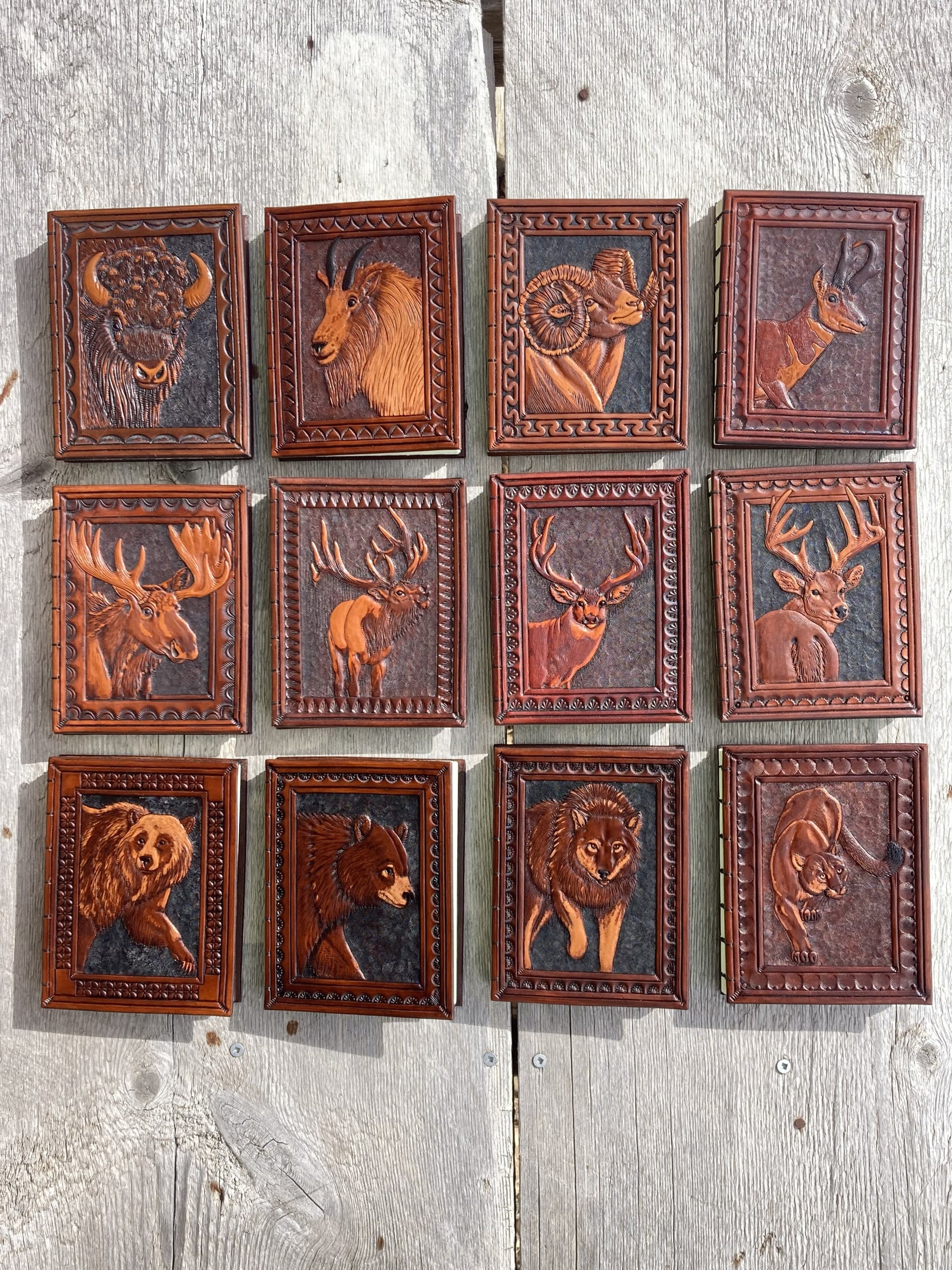 Montana Big Game Book Series