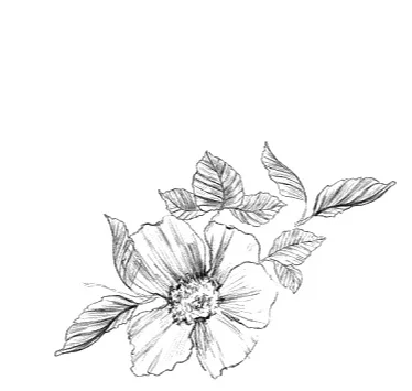 flower+charcoal.jpg