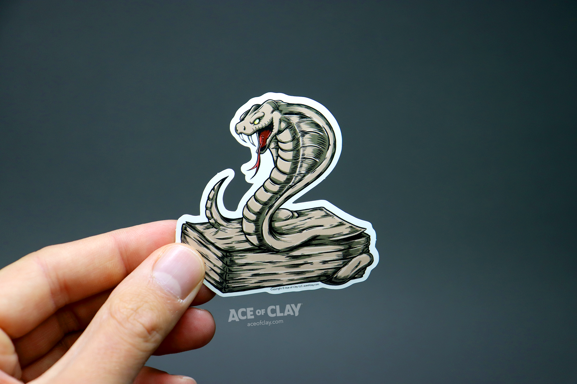 snake of clay_.png