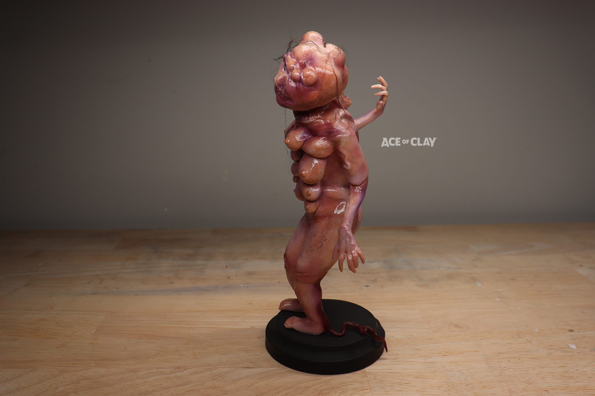 elisasue ace of clay 5.png