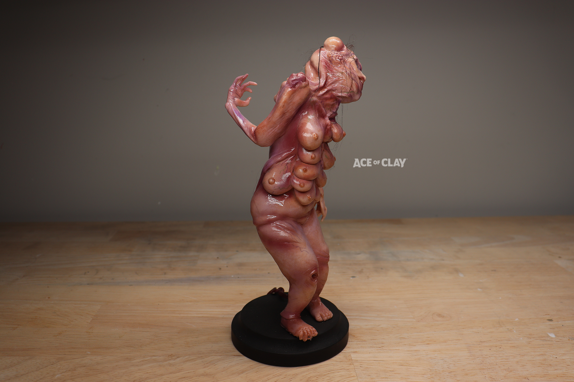 elisasue ace of clay 3.png