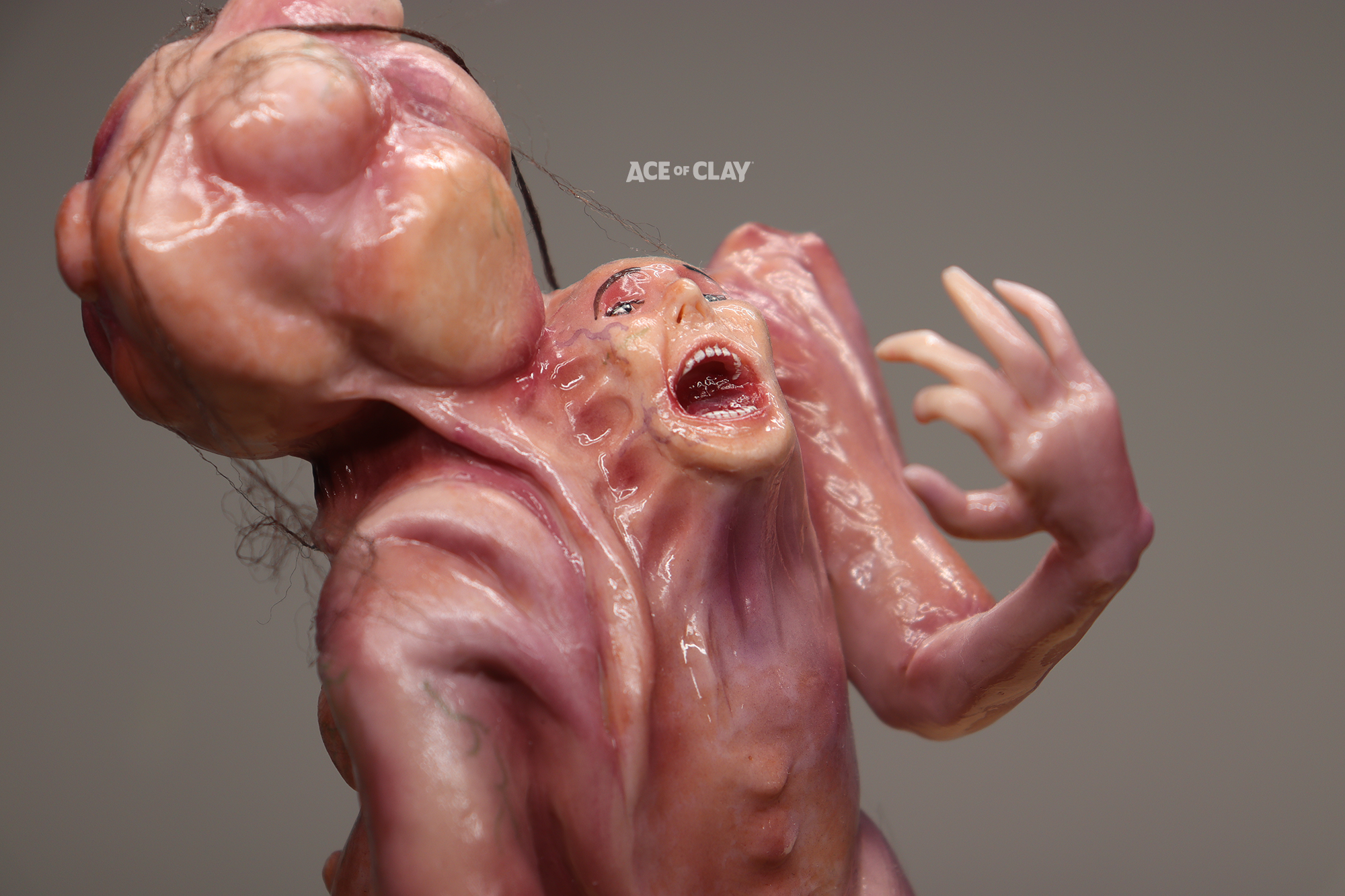 elisasue ace of clay 7.png