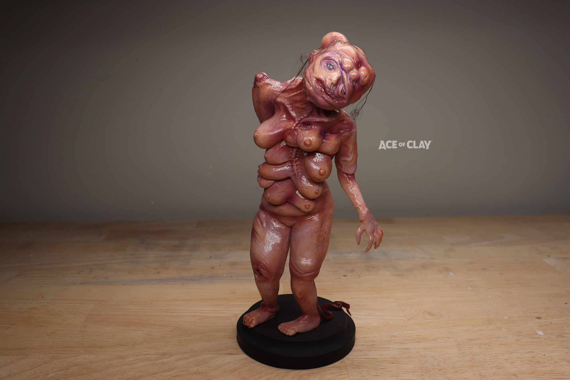 elisasue ace of clay 2.png