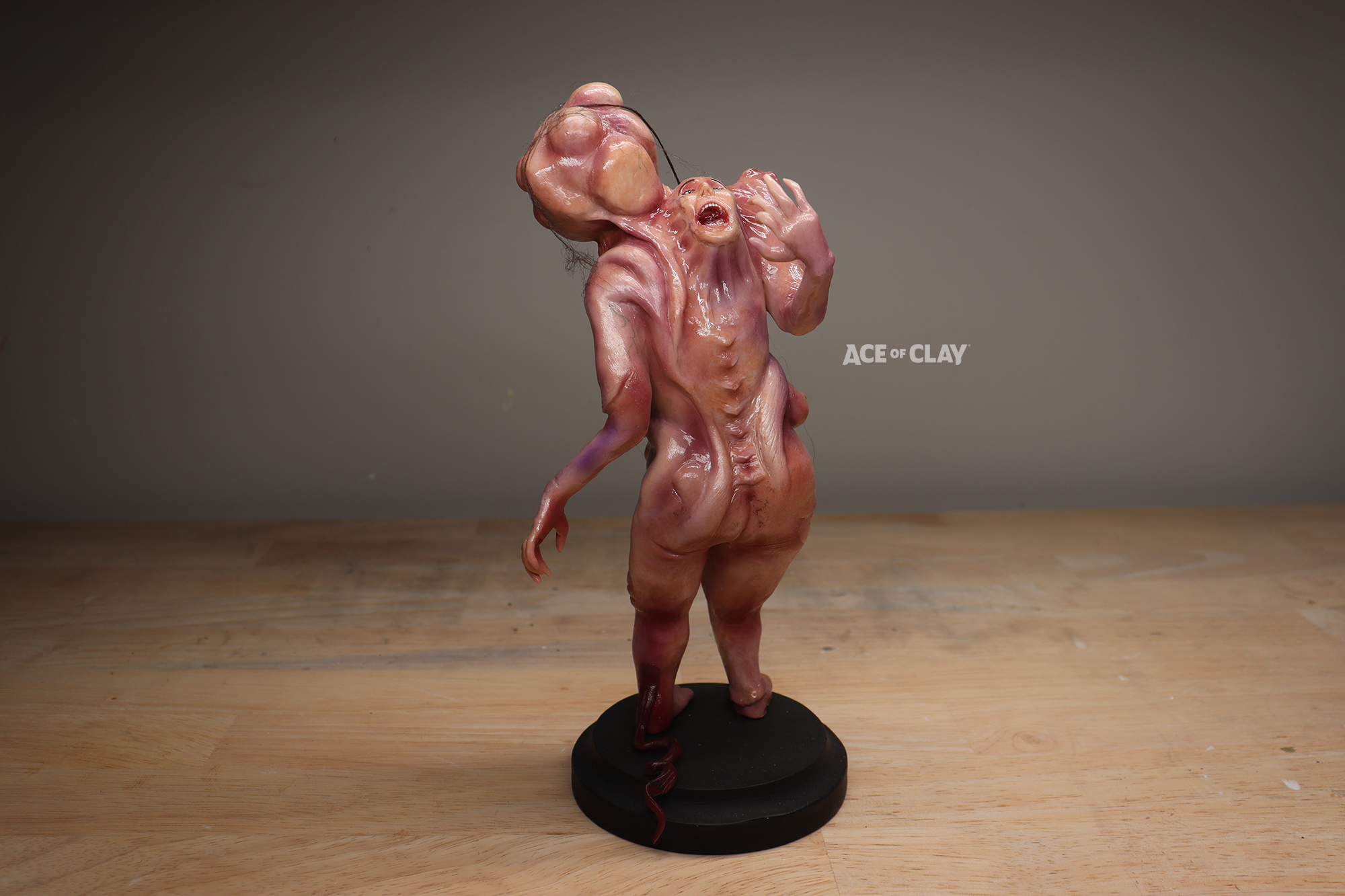 elisasue ace of clay 4.png
