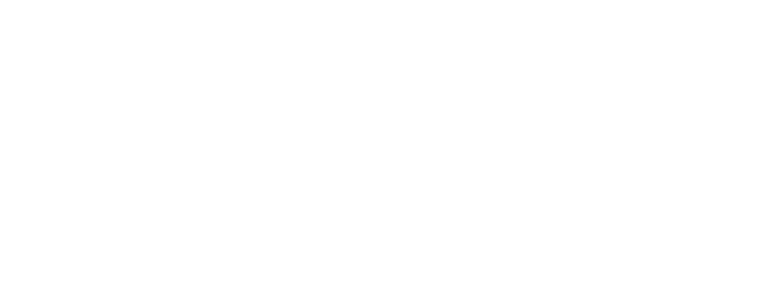Polarity Therapy Institute
