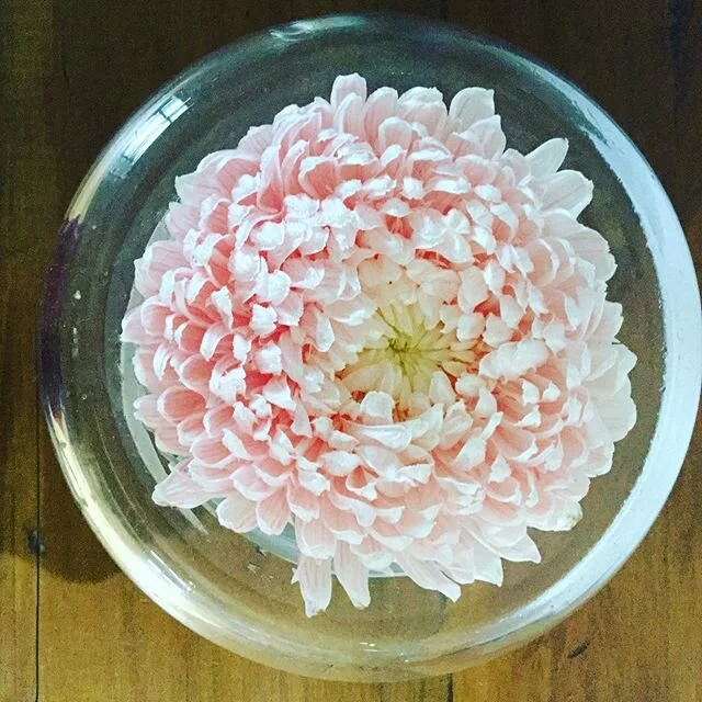 Flowergirl Creations Woy Woy