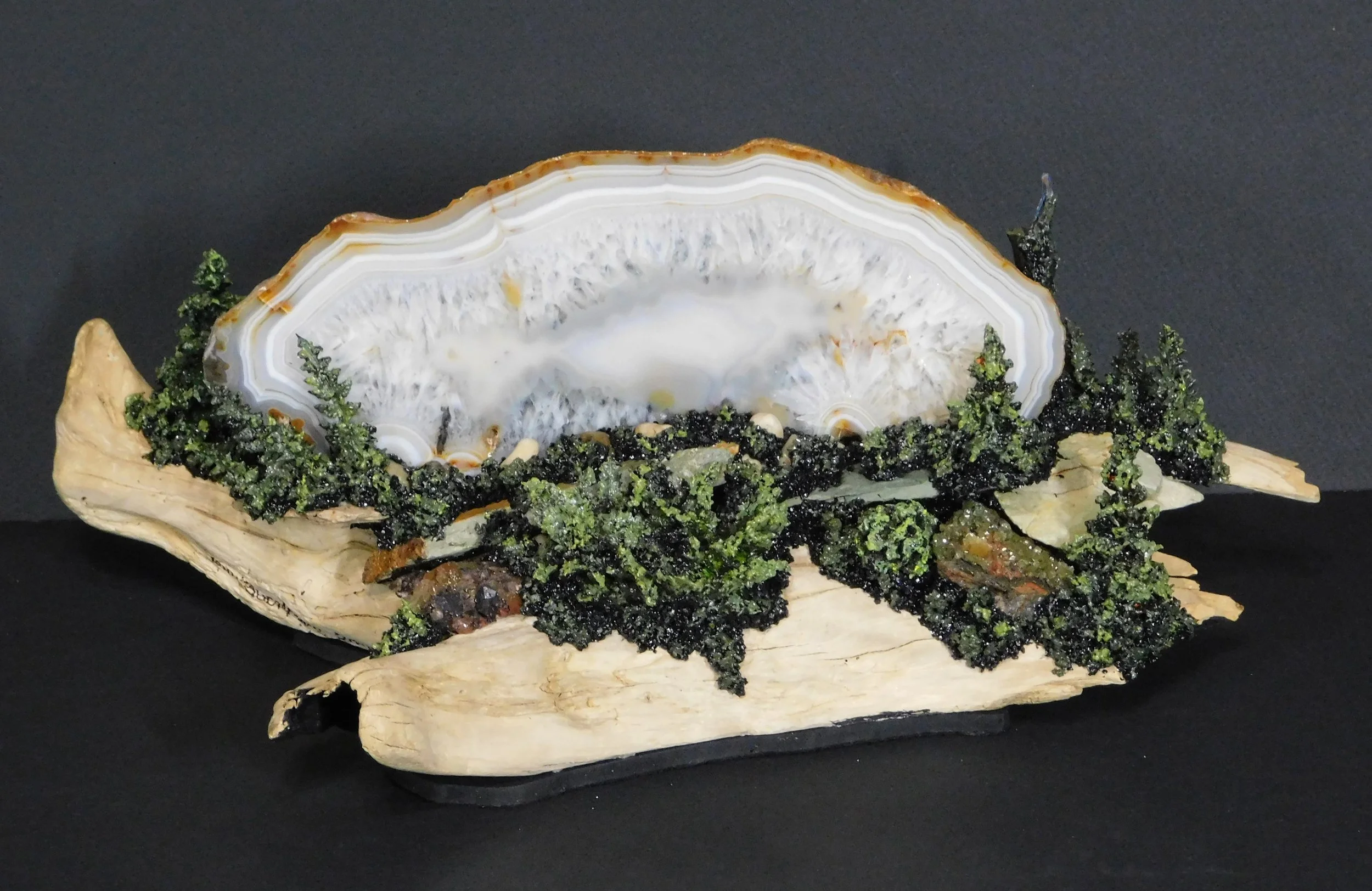 Bearly Awake Back 1.JPG