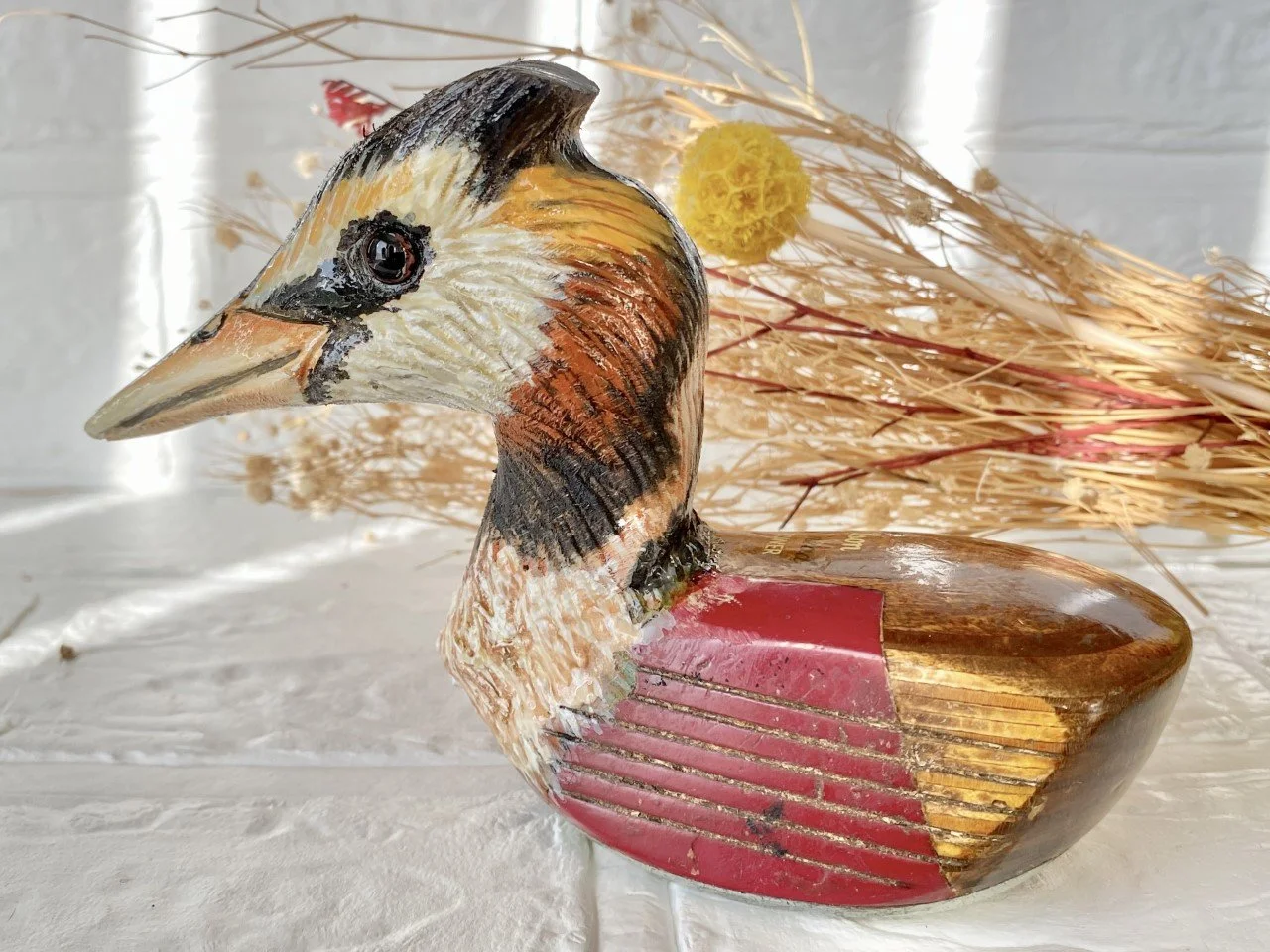 GAduck003.jpg