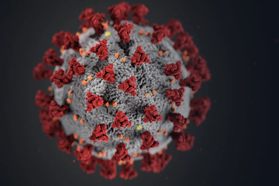 covid.jpg