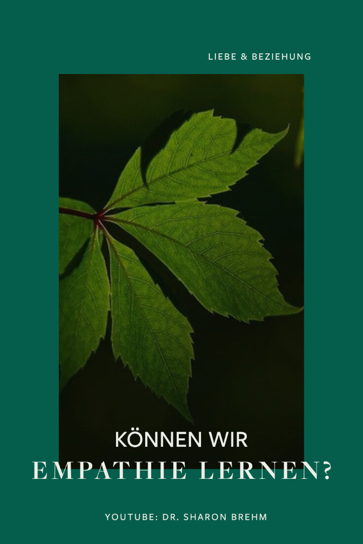 Empathie lernen? Wenn Mitgefühl in deiner Beziehung fehlt.