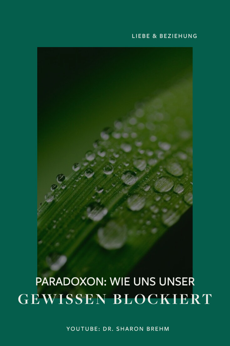 Paradox: Wegen Schuldgefühlen können wir unempathischer wirken