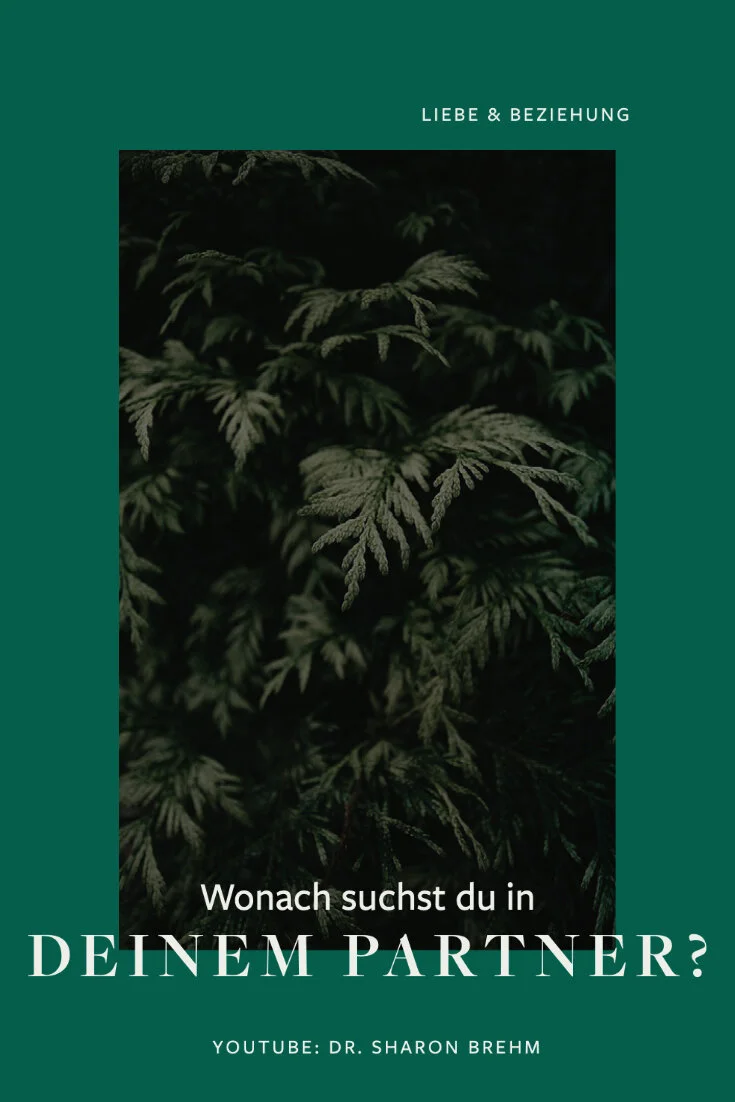 Partnerwahl: Wonach suchst du in deinem Traumpartner?