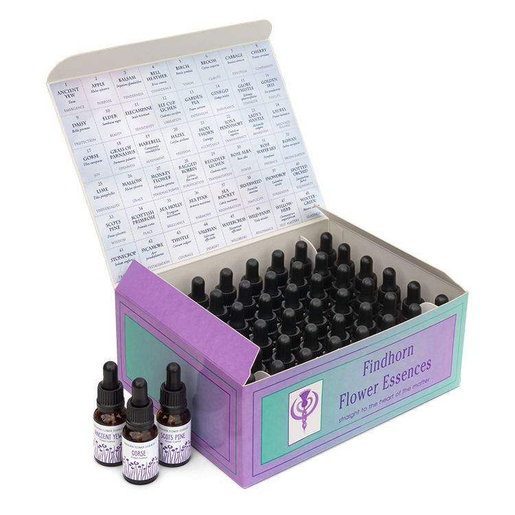 Flower_Essence_Stock_Kit_03_.png