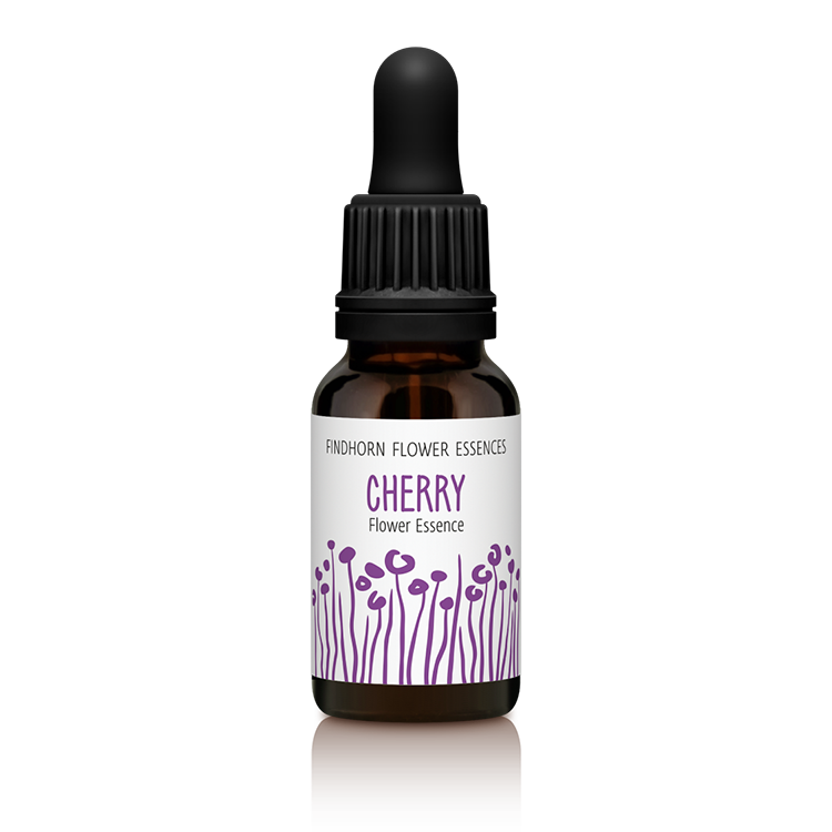 15ml_SINGLE_CHERRY_.png