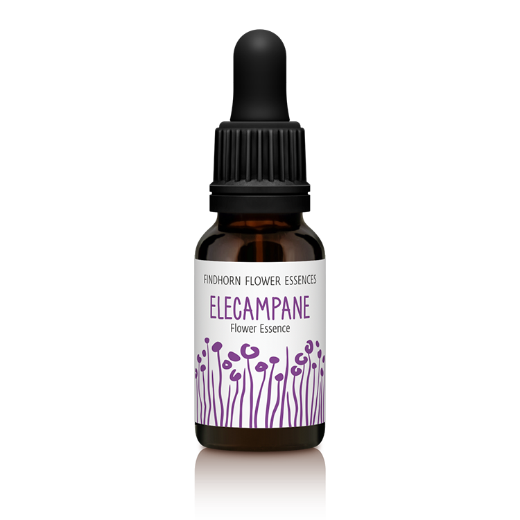 15ml_SINGLE_ELECAMPANE_copy_.png