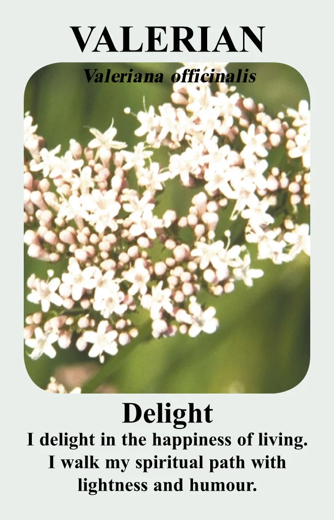 valerian-card__53064.1366110160.1280.1280.jpg