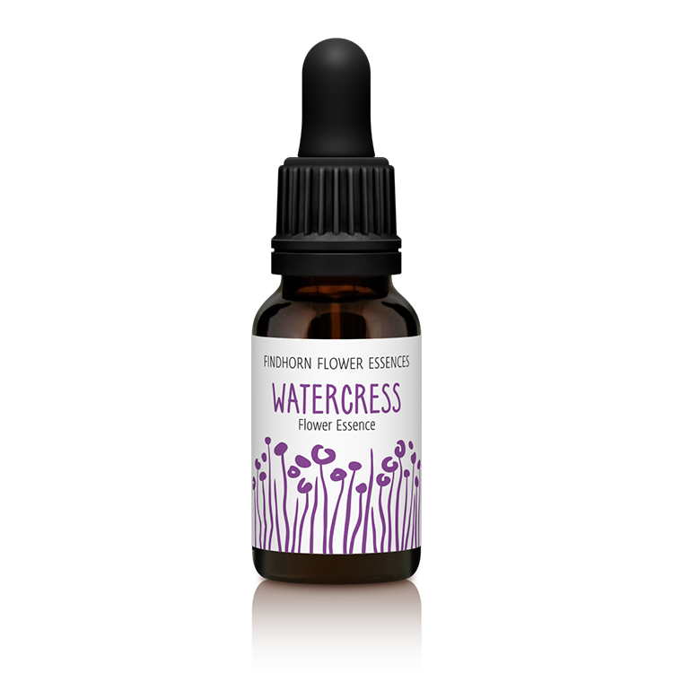 15ml_SINGLE_WATERCRESS_copy__03033.1434373002.1280.1280.png