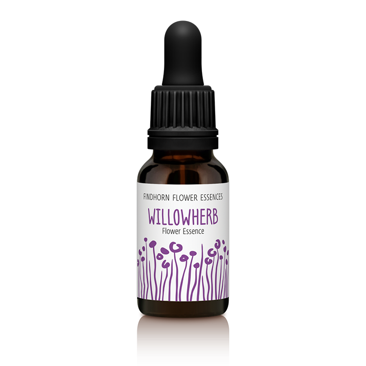 15ml_SINGLE_WILLOWHERB_copy__61363.1433942854.1280.1280.png