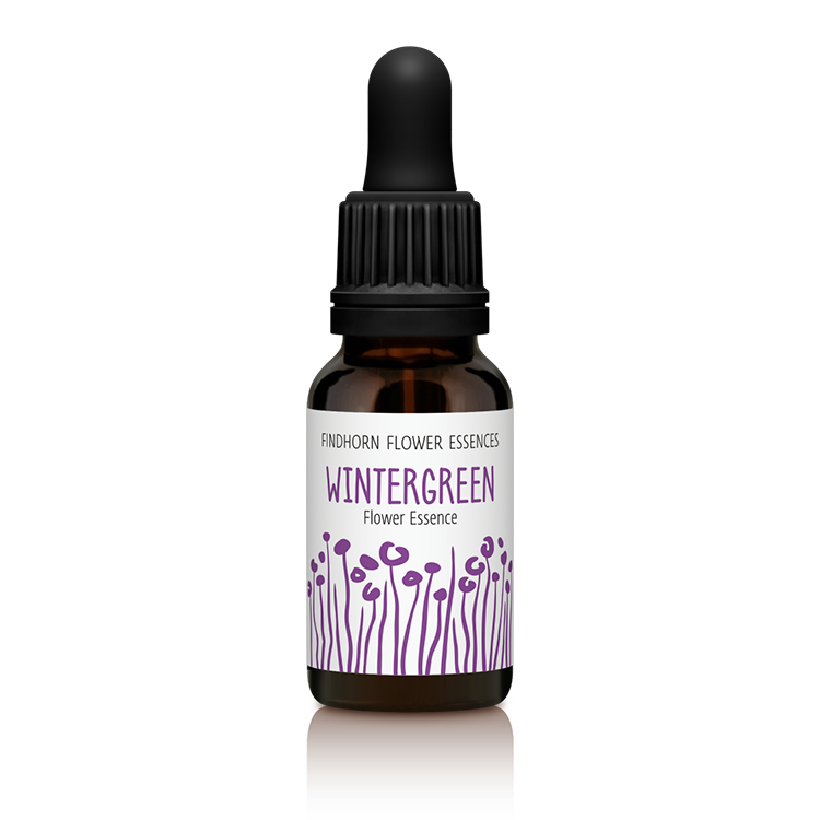 15ml_SINGLE_WINTERGREEN_copy__15231.1433942905.1280.1280.png