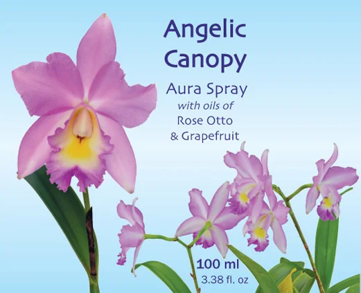 Angelic-Canopy-Blue-500.jpg