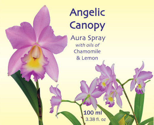 Angelic-Canopy-Yellow-500.jpg