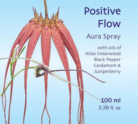 Positive-Flow-Blue-500.jpg