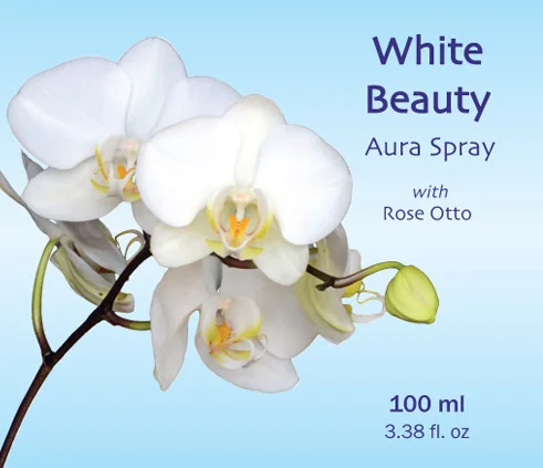 White-Beauty-Blue-500.jpg