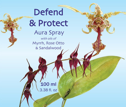 Defend-_-Protect-Blue-500.jpg