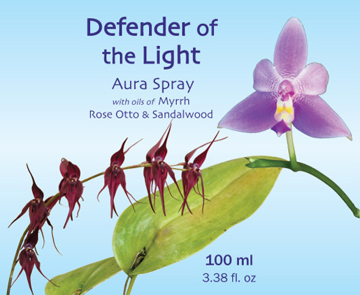 Defender-of-the-Light-Blue-500.jpg