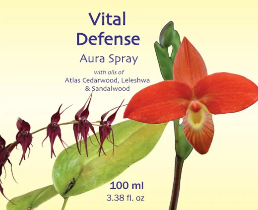 Vital-Defense-Yellow-500.jpg