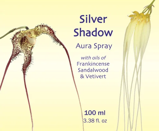 Silver-Shadow-Yellow-500.jpg